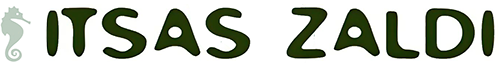 Itsas Zaldi